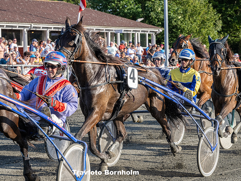 Jujutsu Sisu med Jonas Mikkelsen 14 august 2025 Fotograf Torben